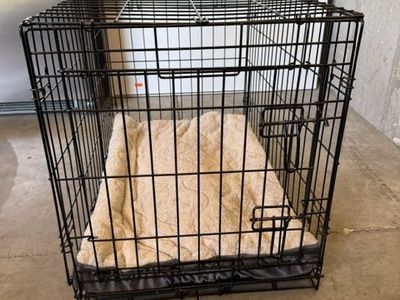 Wire Dog Crate with Serta Pet Bed - Black Metal