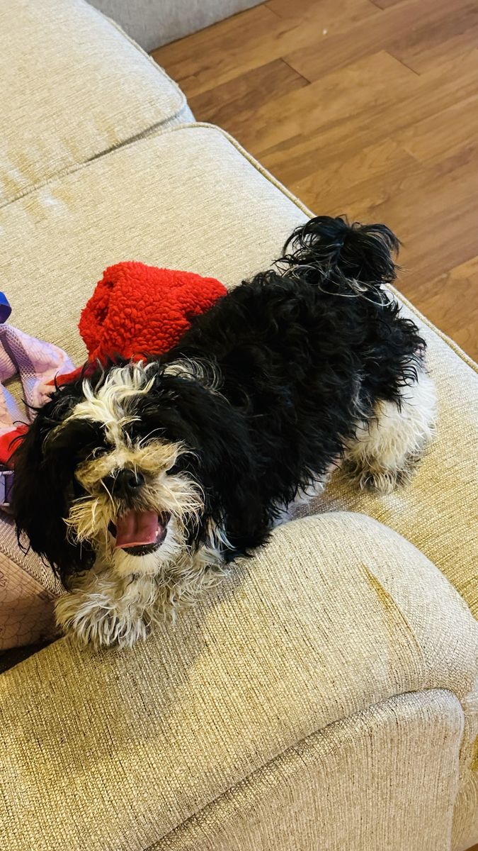 Main image 3