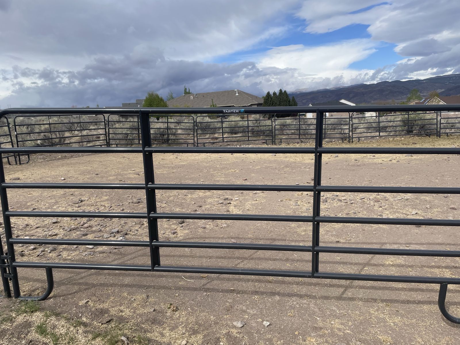 12foot tarter horse panels
