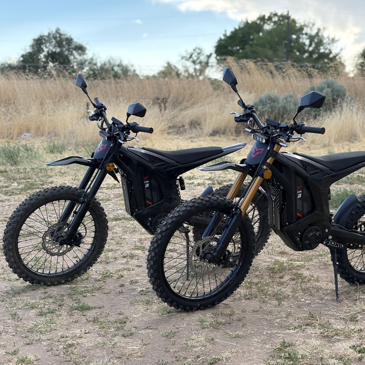 2026 Arctic Leopard XE PRO R