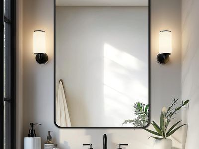 Delma Black Framed Wall Mirror 36x24 Modern Aluminum Frame