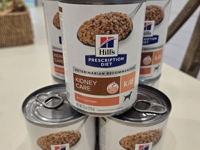 Hill’s K/D Kidney Care Wet Dog Food