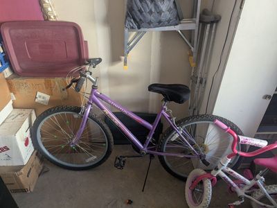 Purple Bike and Bike Trailer