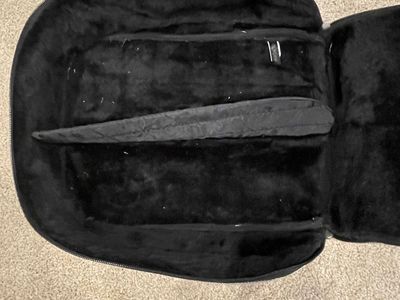 Shoe Bag