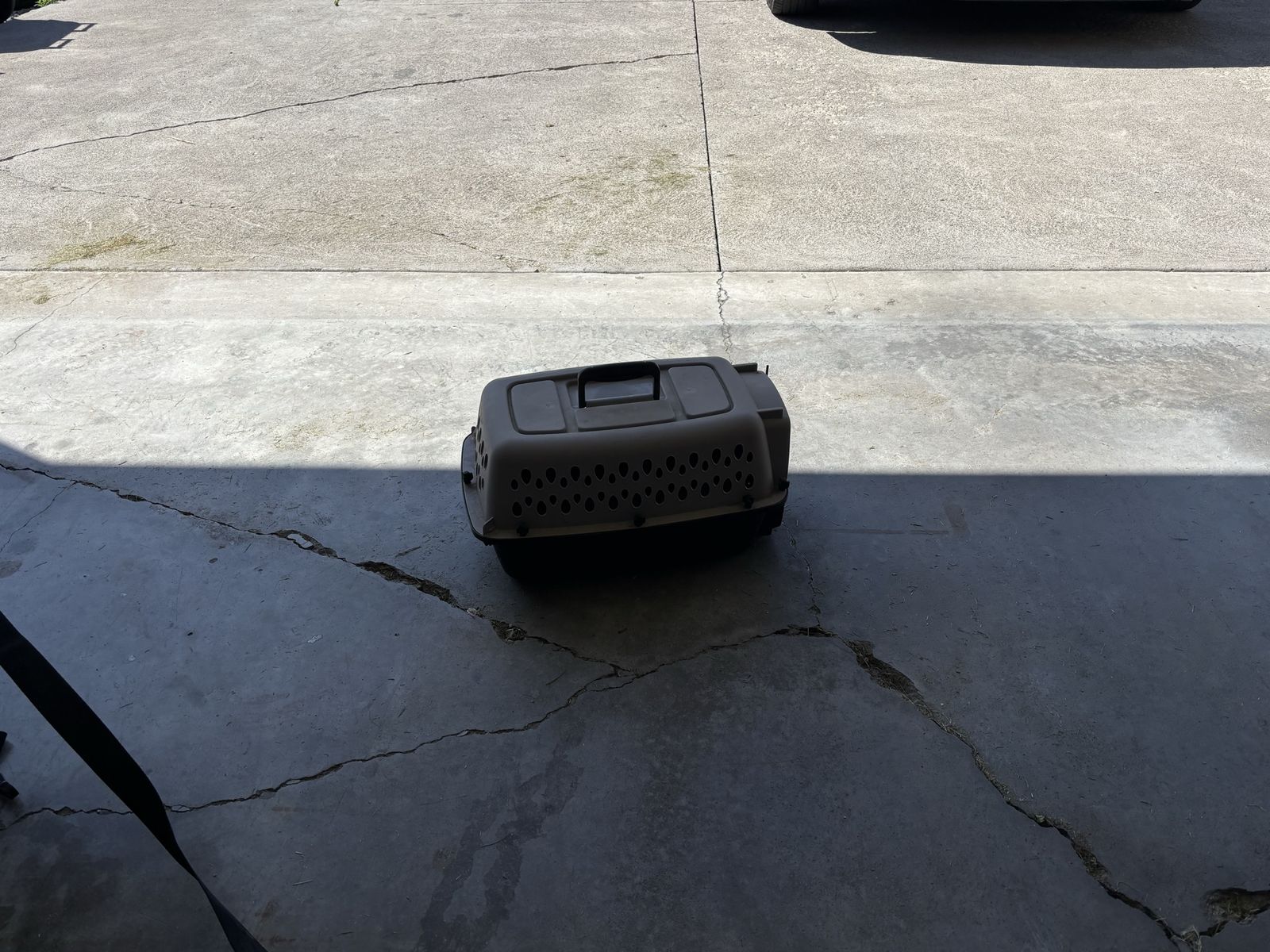 Small dog kennel