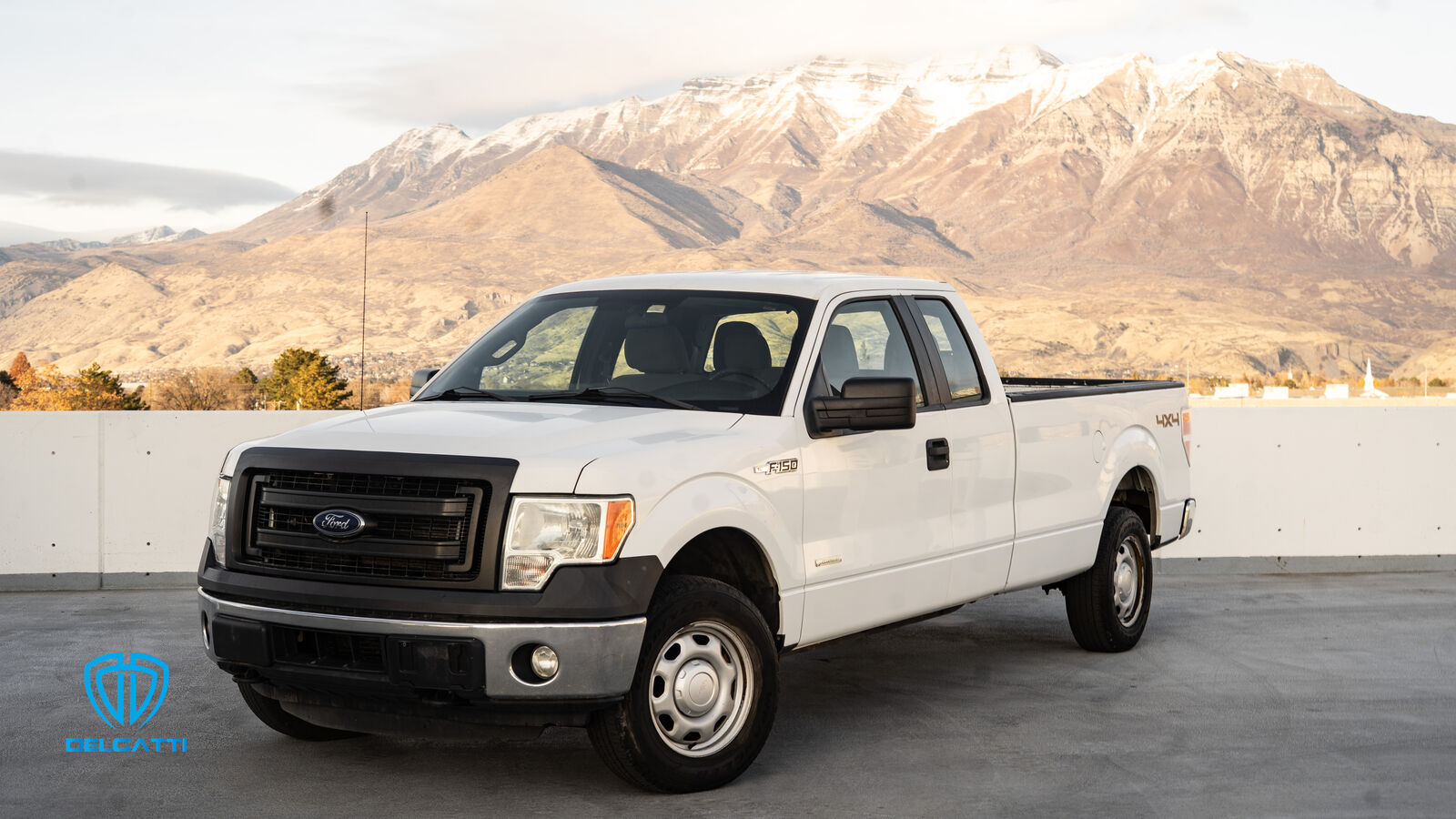 2014 FORD F150 XL