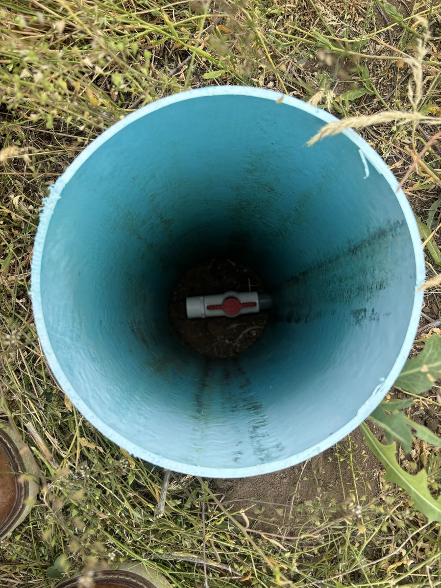 Main image 5