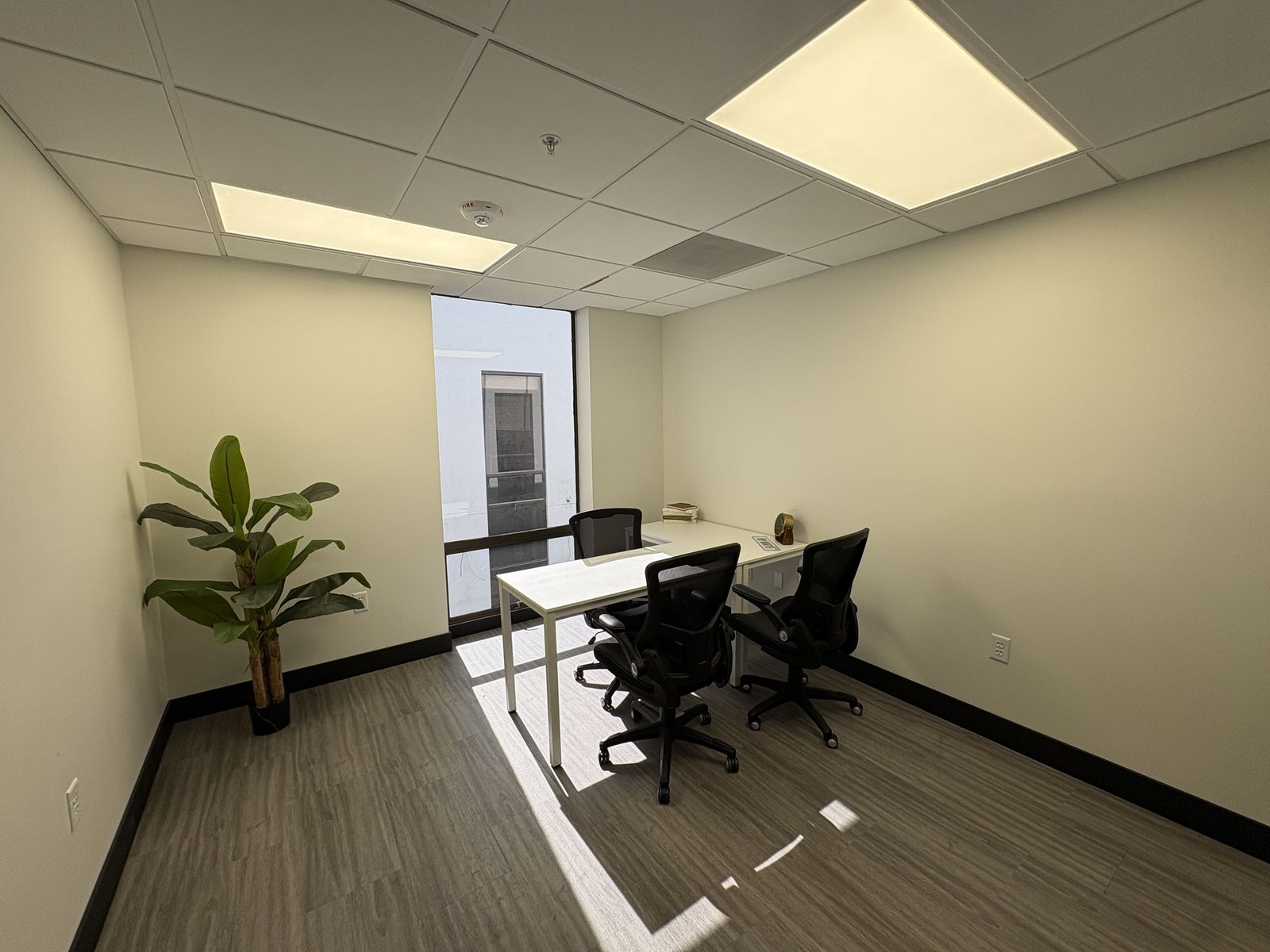 The Office Aesthetic You Saw on Pinterest… But Real 🪴