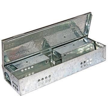 12pk Little Pete Extra Narrow Mouse Trap