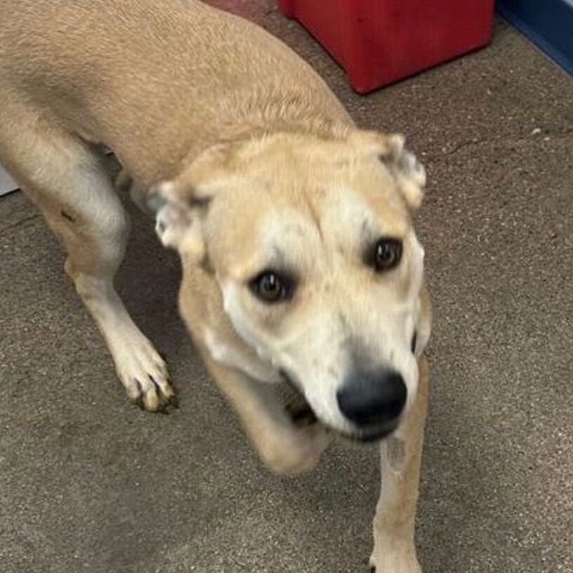 Hello my name is Florence