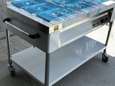 Electric Food Warmer Buffet Table