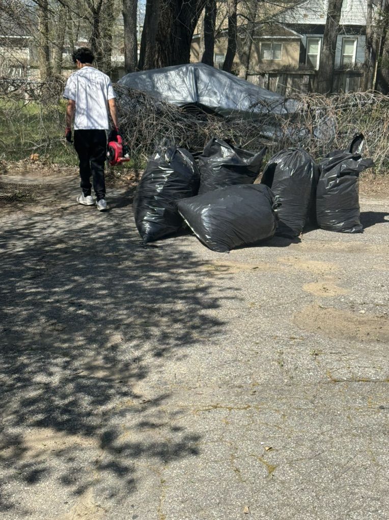 Yard Clean Up Weeds Removal Mowing Great Prices