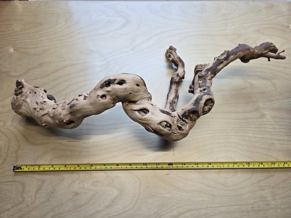 Main image 11