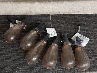Vintage Style Oversized Edison Bulb Outdoor String Lights Set