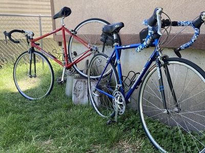 Small 50cm Gunnar, Hand built, Reynolds 853 BMT