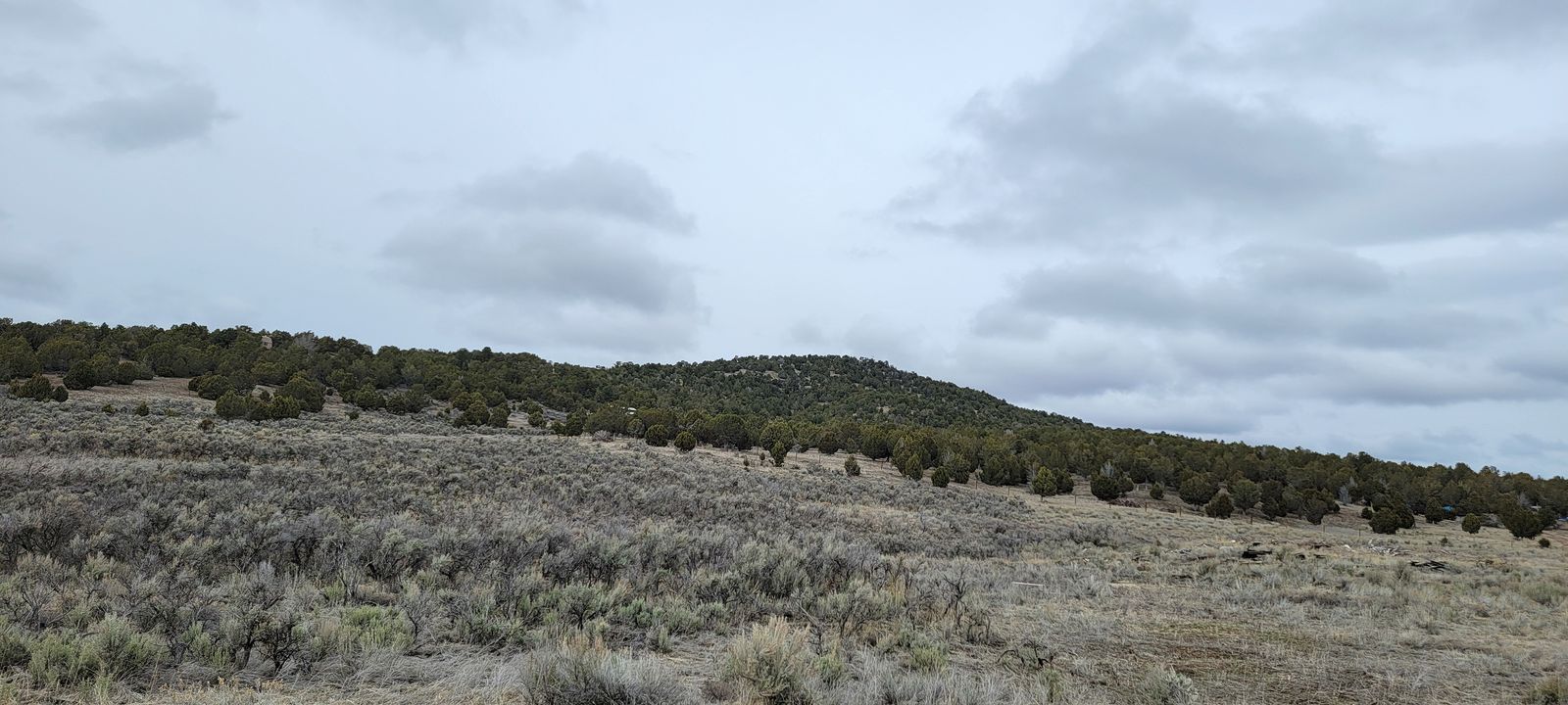 5 Acres in Blackhawk Mountain Estates