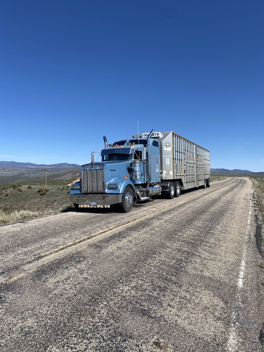 2004 Kenworth W900