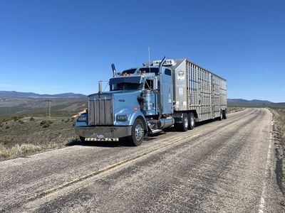 2004 Kenworth W900