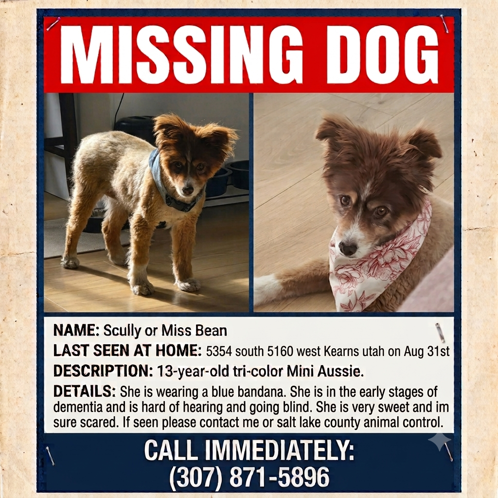 Missing dog