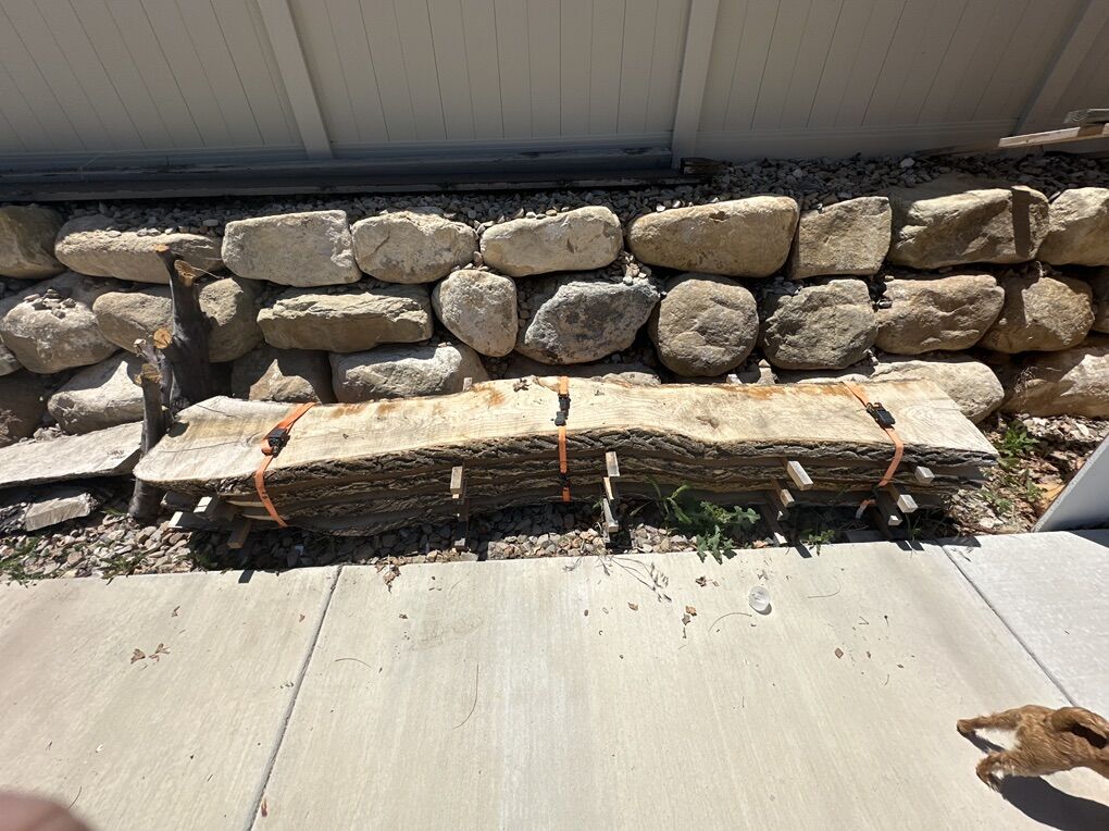 10 X 2 1/2 Thick Full Ash Tree Slabs