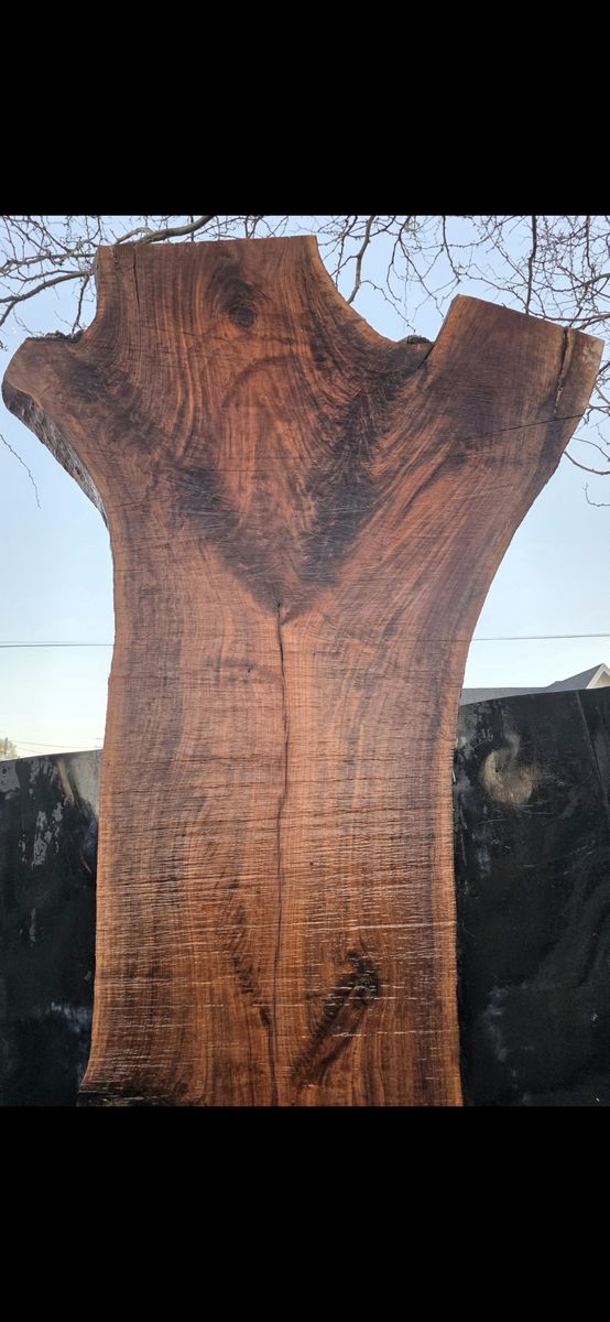 10 ft Black Walnut live edge slab