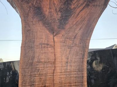 10 ft Black Walnut live edge slab