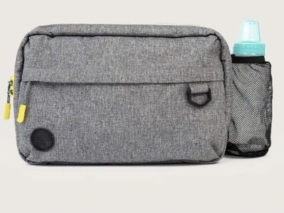 Tush Baby Bag