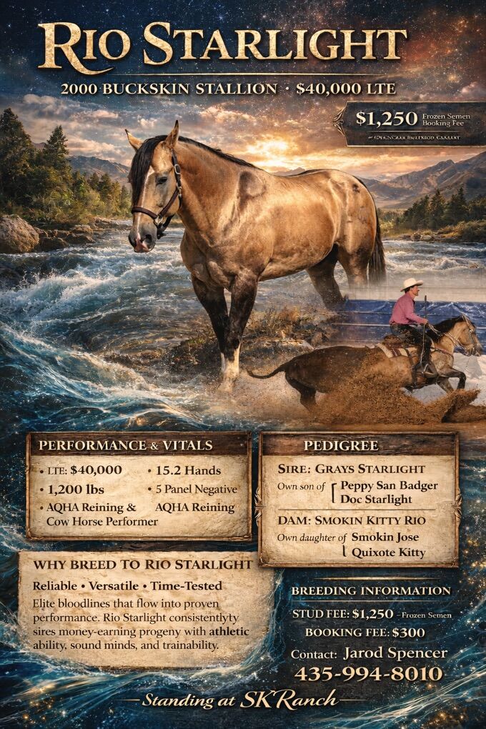 Rio Starlight Book For 2026 Now