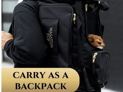 The Best Travel Carrier For Any Pet under 20 lbs