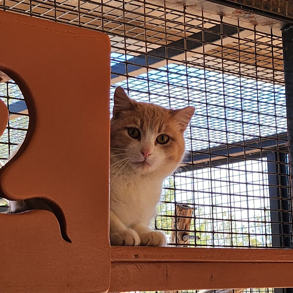 Hello my name is Aguilar