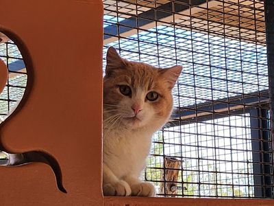 Hello my name is Aguilar