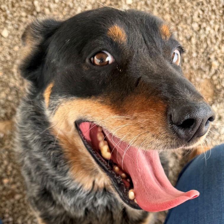 Hello my name is Drake