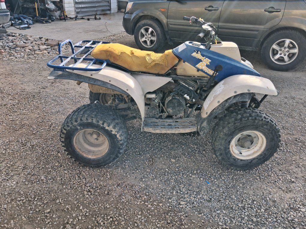 Polaris trailboss 250