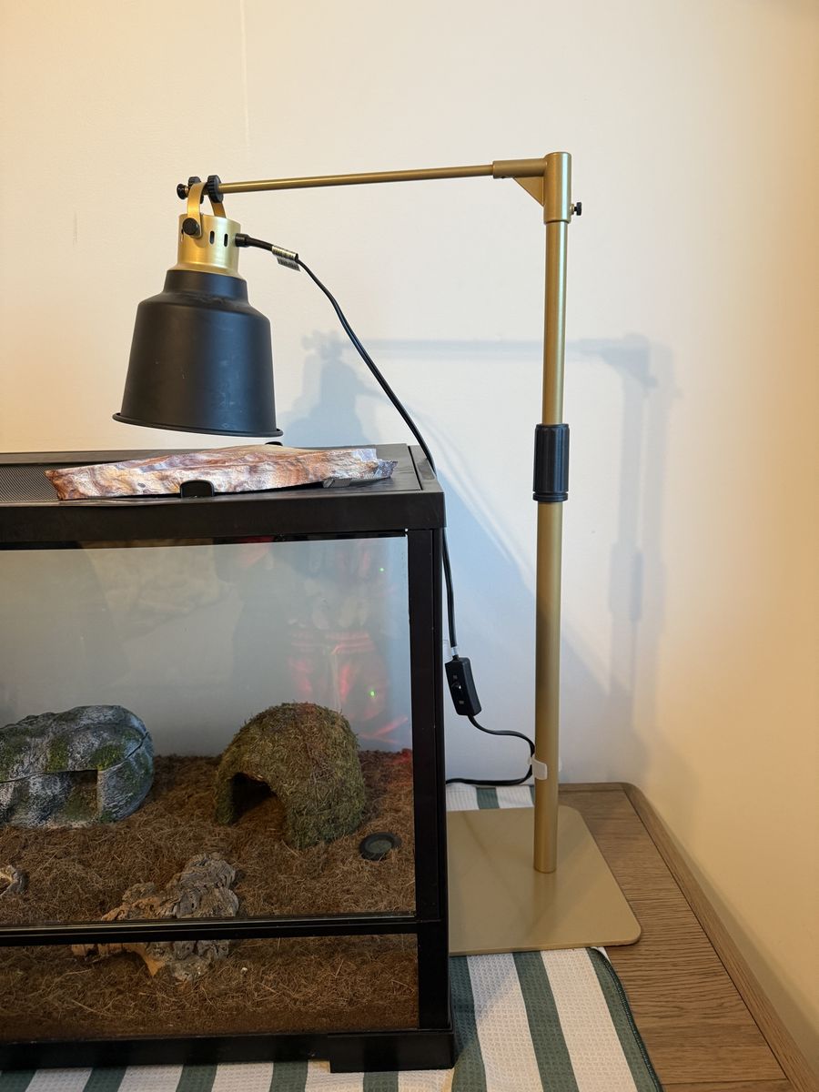 Main image 4
