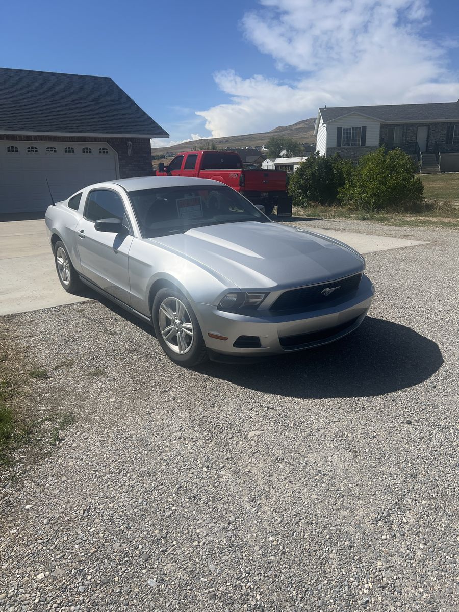 2012 mustang 