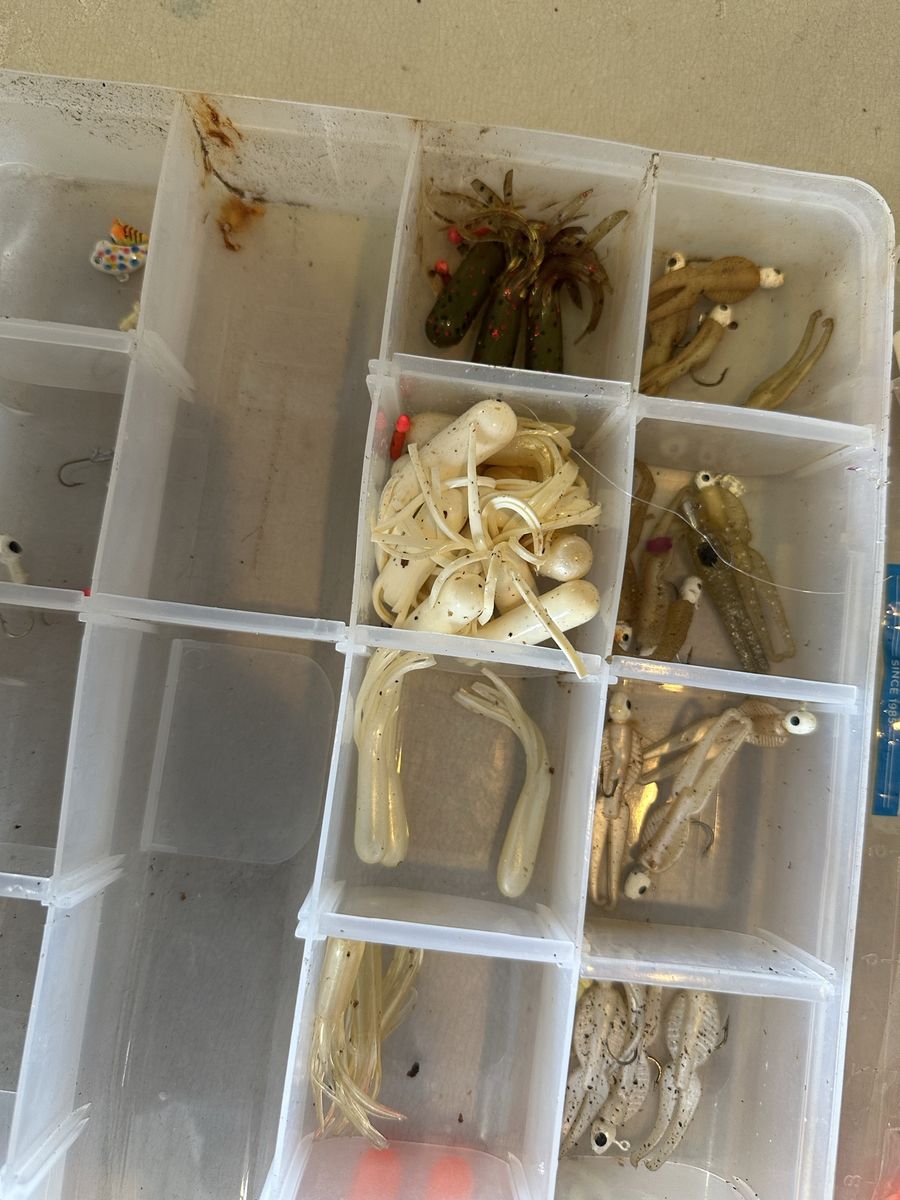 Main image 2