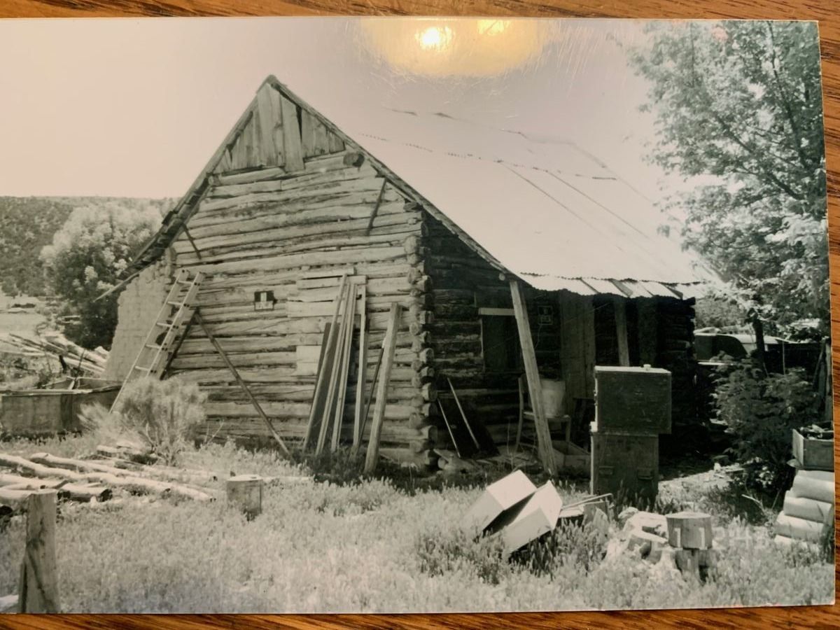 Main image 1