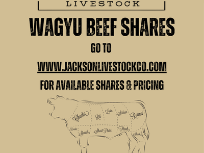 Wagyu Beef Shares