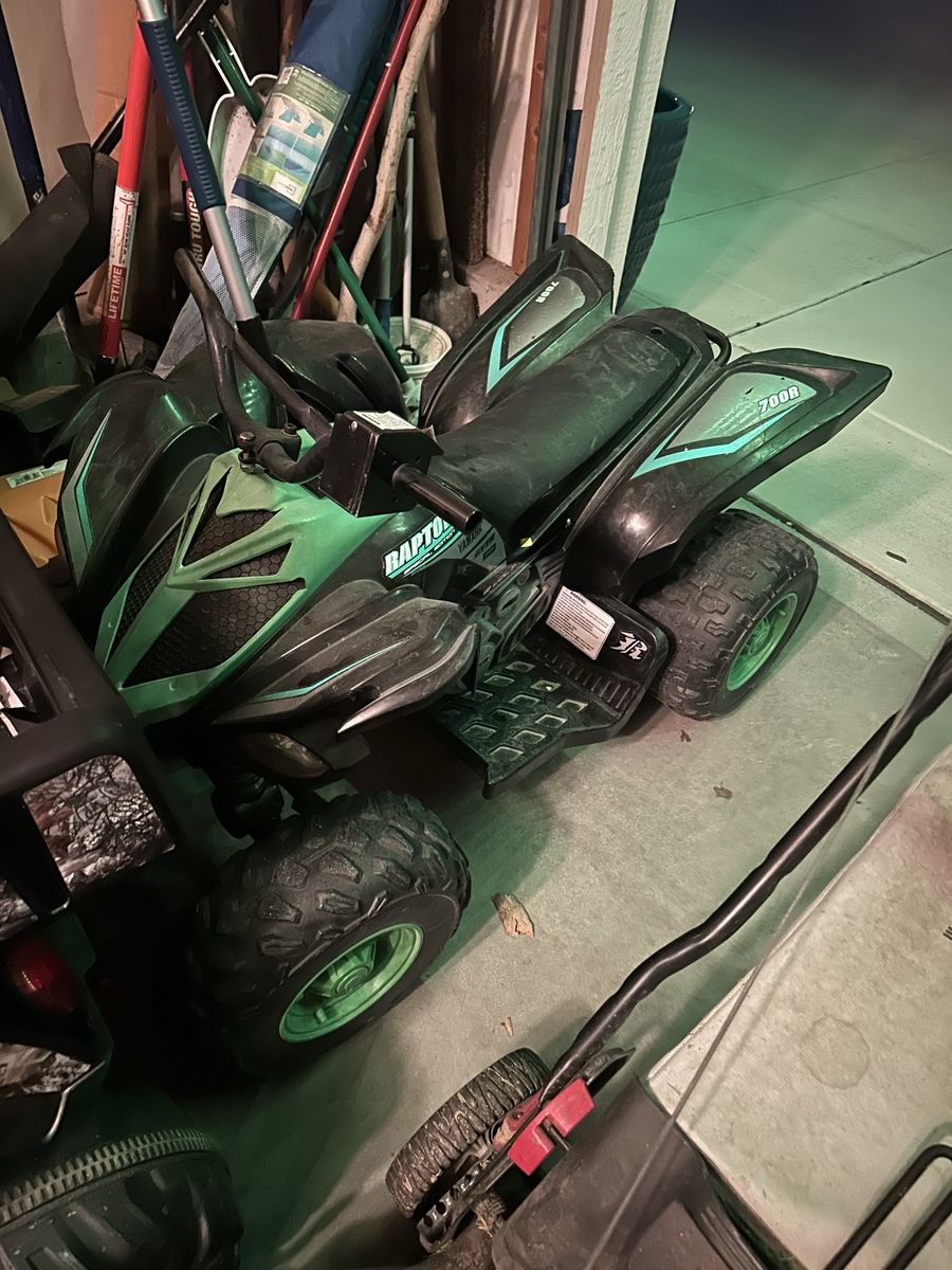 Raptor electric power wheel
