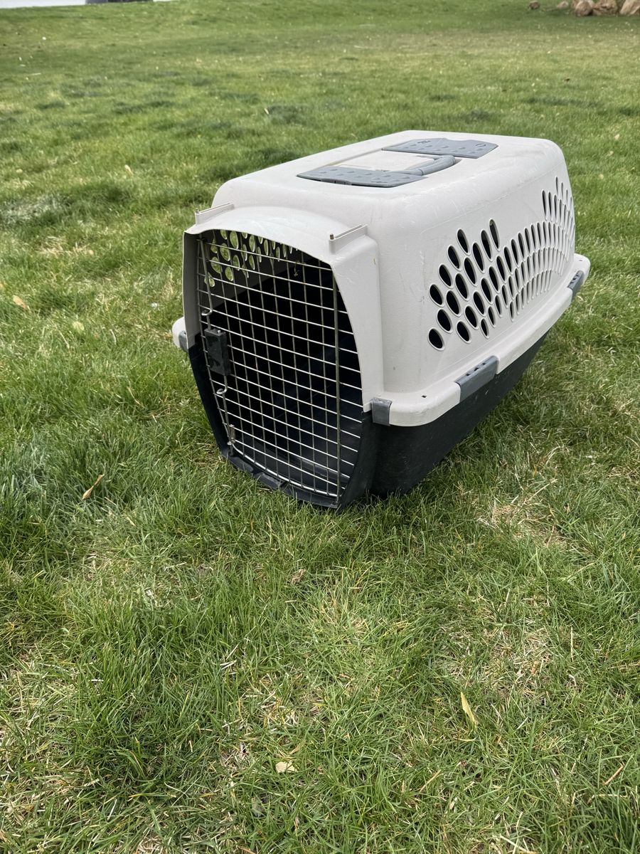 Pet Kennel Plastic Portable Airline Approved Dog