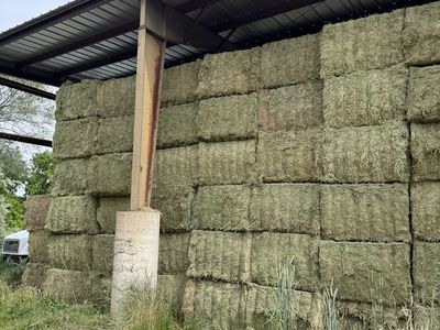 Alfalfa 3x4 bales 1st crop great feeder hay $200 a bale