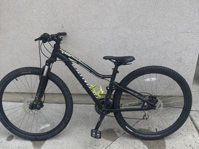 Specialized Mountain Bike