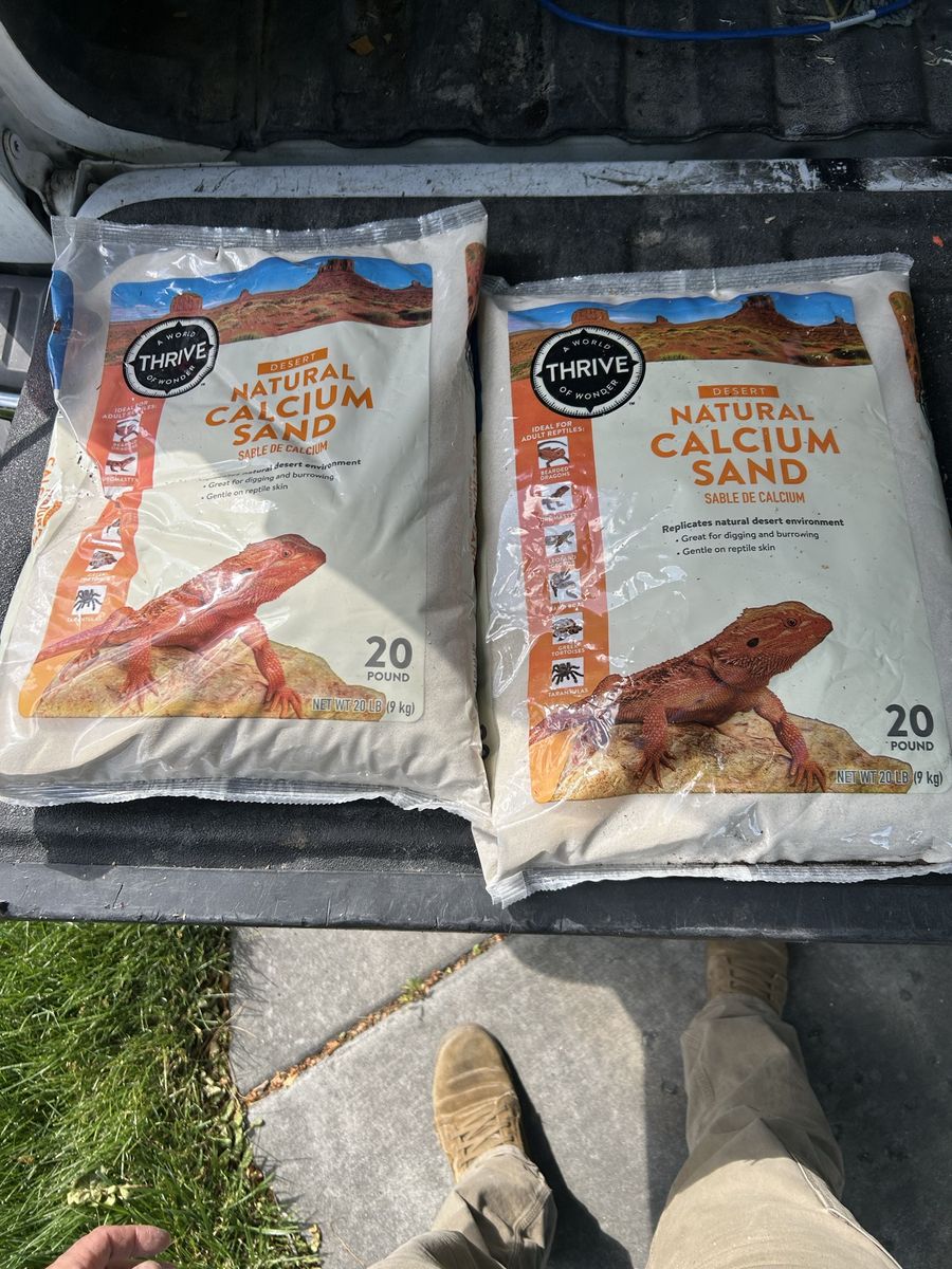 Reptile sand