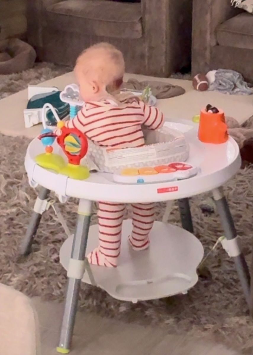 Skip Hop Baby Activity Center