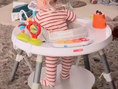 Skip Hop Baby Activity Center