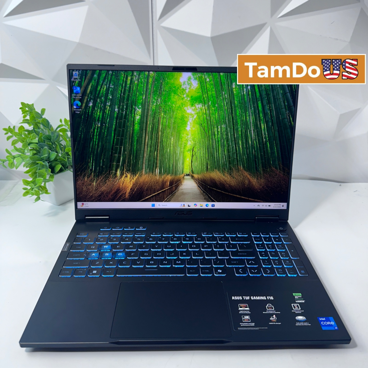 ASUS TUF Gaming F16 Laptop, 16" FHD+ 165Hz, i7-14650HX, 32GB, 1TB, RTX 5060 8GB