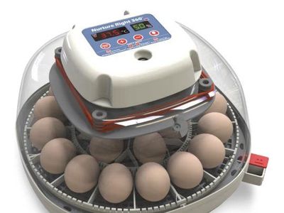 Nurture Right 360 Incubator + Quail Egg Turner Attachment