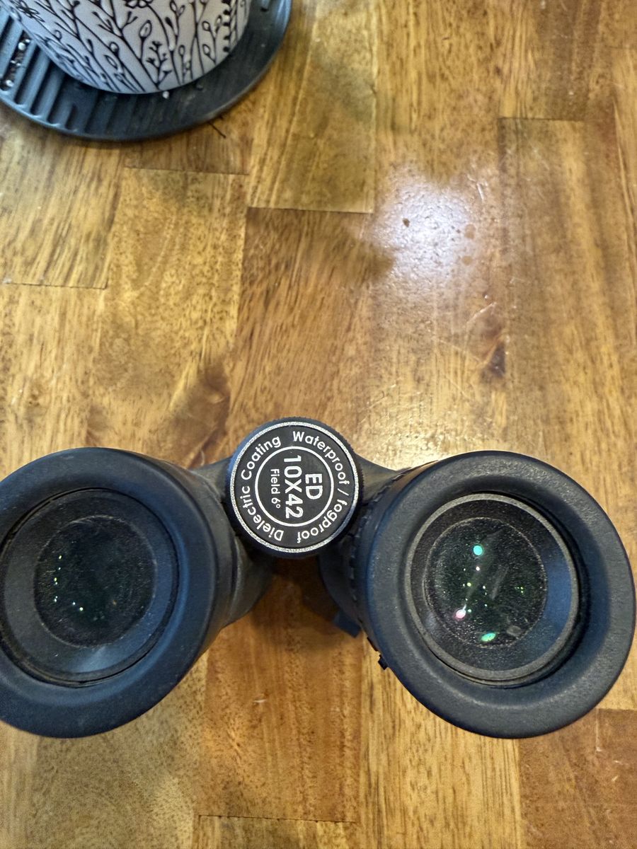 Black diamond 10x42 binoculars