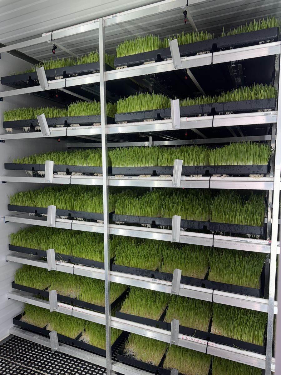 Fodder Self Contained Unit