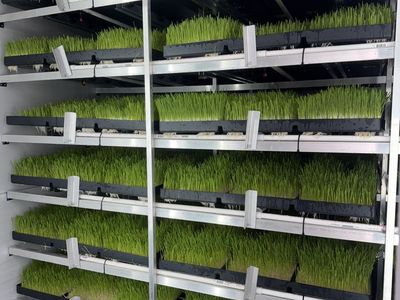 Fodder Self Contained Unit